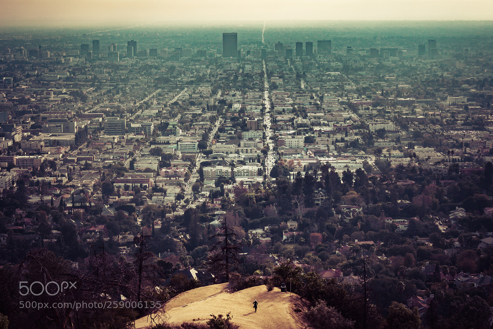 Canon EOS 600D (Rebel EOS T3i / EOS Kiss X5) sample photo. Griffith observatory viewpoint photography