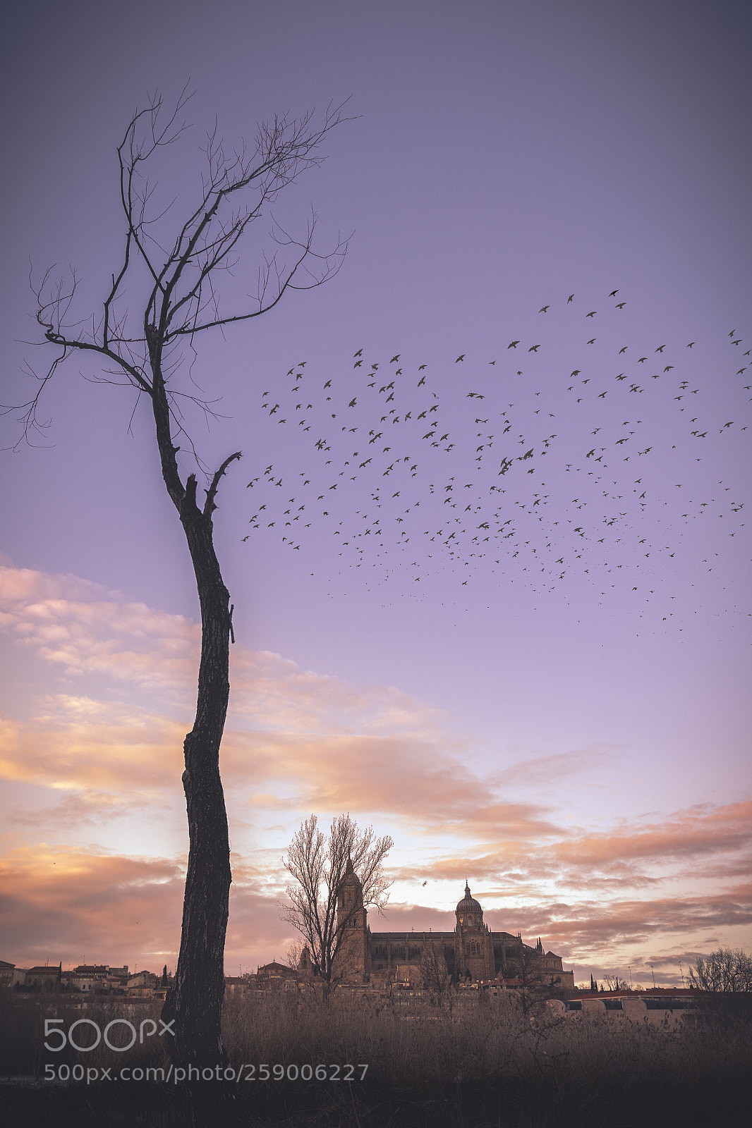 Canon EOS 70D sample photo. Editar photography