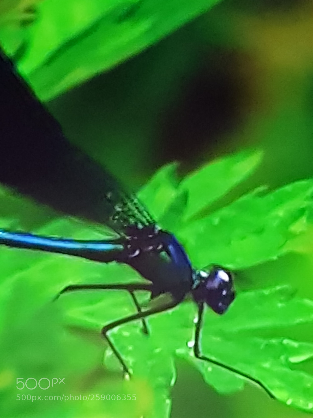 Samsung Galaxy S8 sample photo. Untitled photography