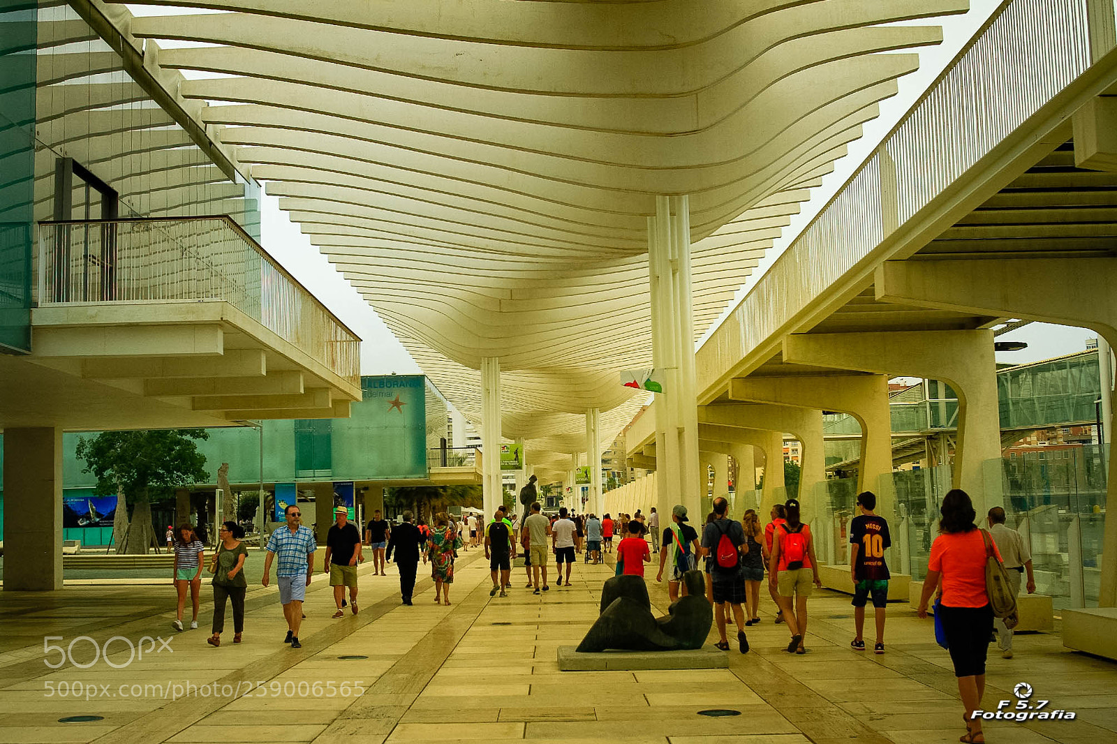Canon EOS 7D sample photo. Palmeral de las sorpresas photography