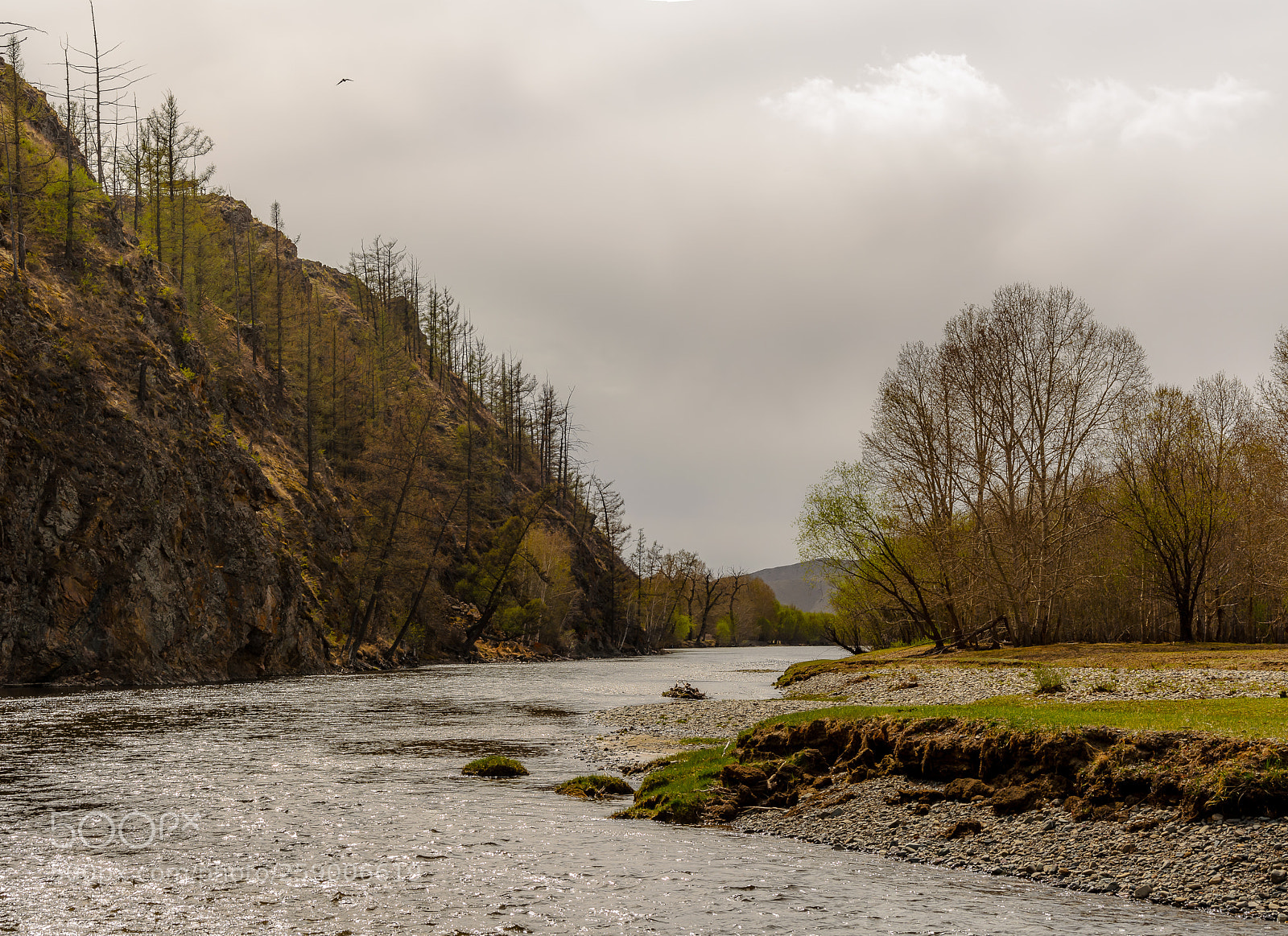 Nikon D5100 sample photo. River photography