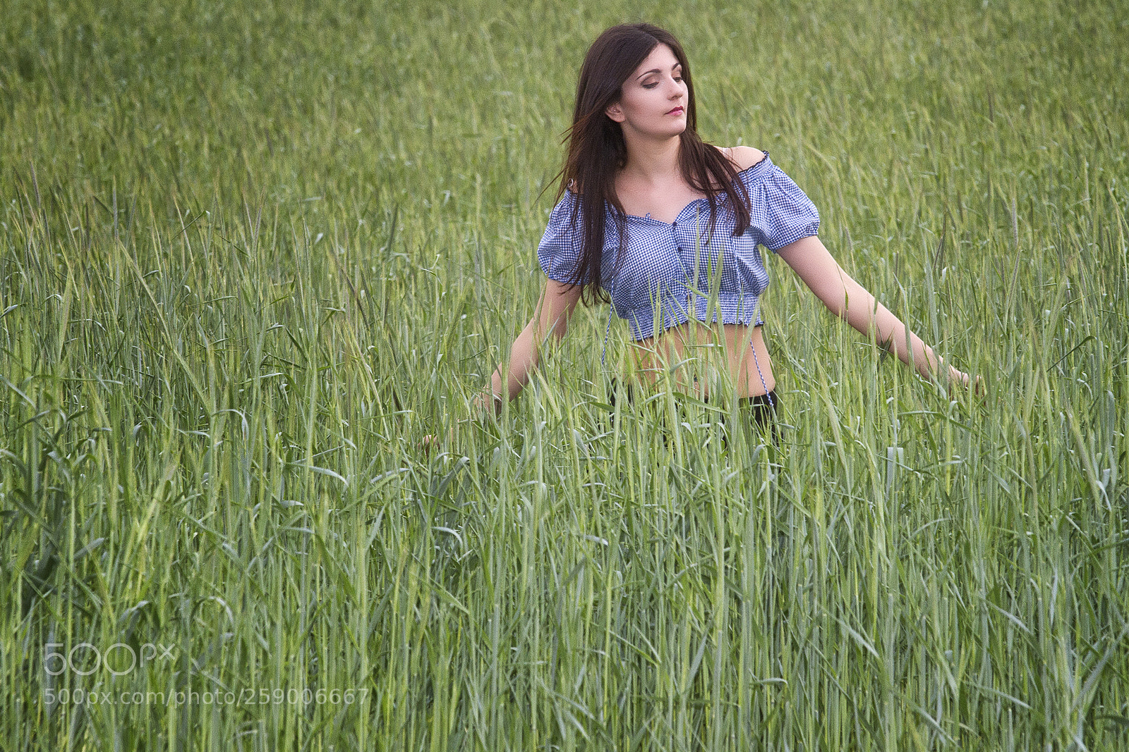 Canon EOS 7D sample photo. Green spring photography