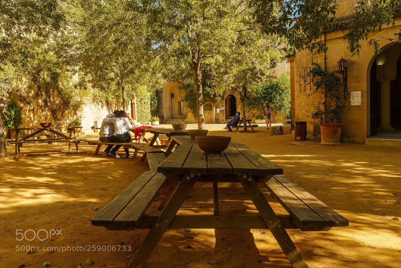 Sony a7 sample photo. Moments photography