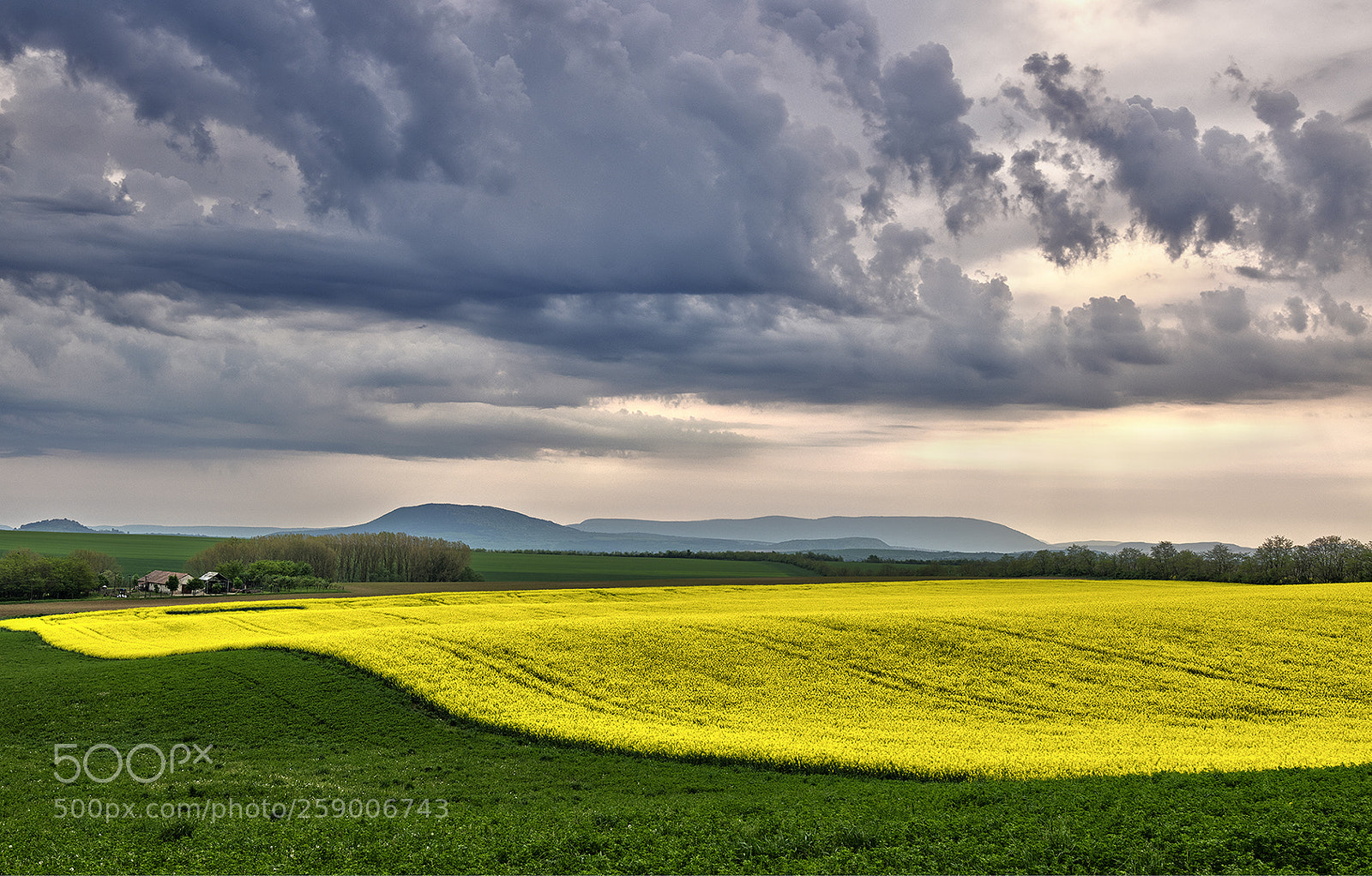 Nikon D5500 sample photo. Farm photography
