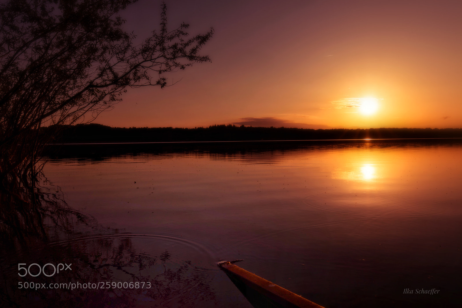 Canon EOS 5D Mark IV sample photo. Am obersee photography