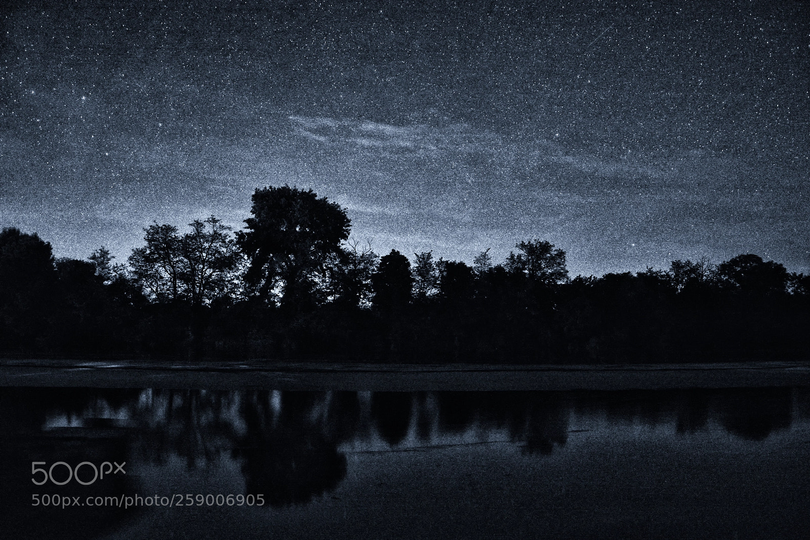 Nikon D5200 sample photo. Silent photography