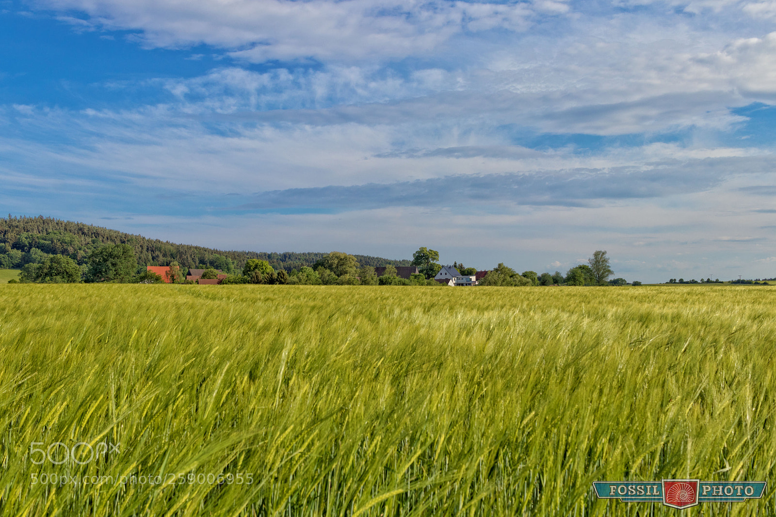 Canon EOS 80D sample photo. Country life photography