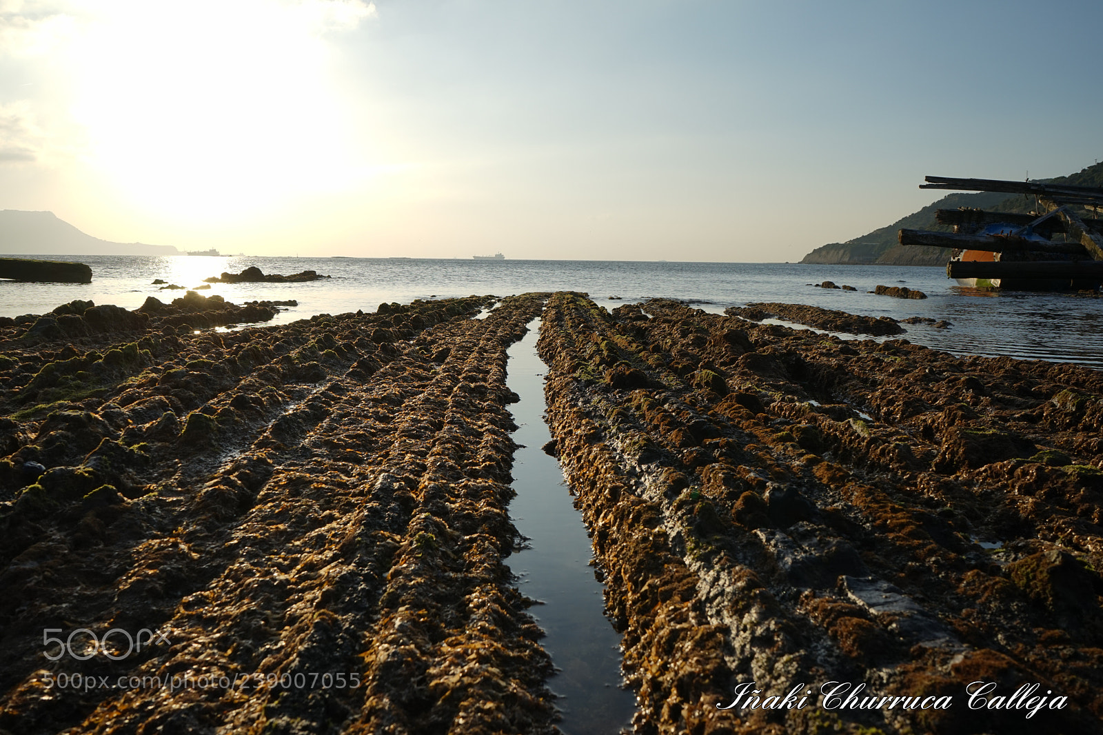 Sony a7 sample photo. Getares photography