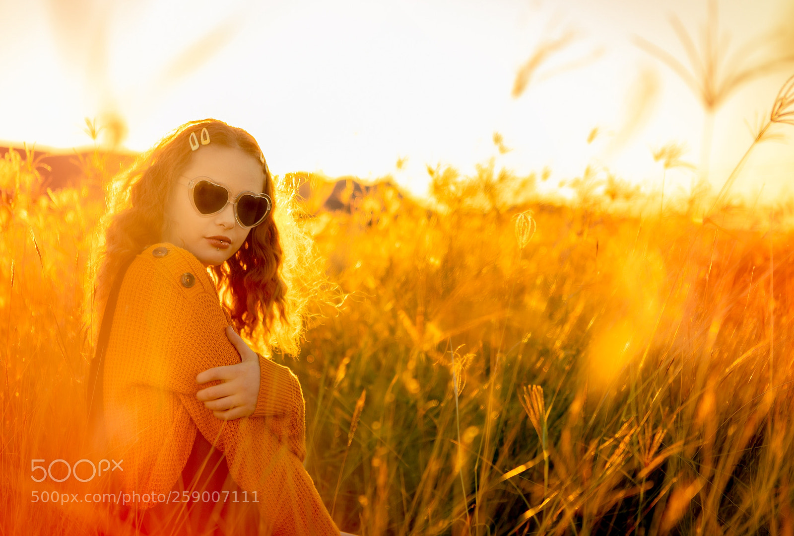 Canon EOS 5DS R sample photo. Aro photography