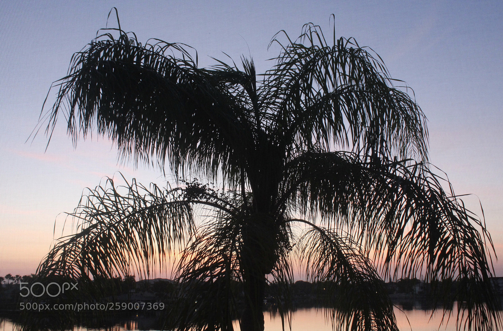 Canon EOS 1200D (EOS Rebel T5 / EOS Kiss X70 / EOS Hi) sample photo. Sunrise :) photography