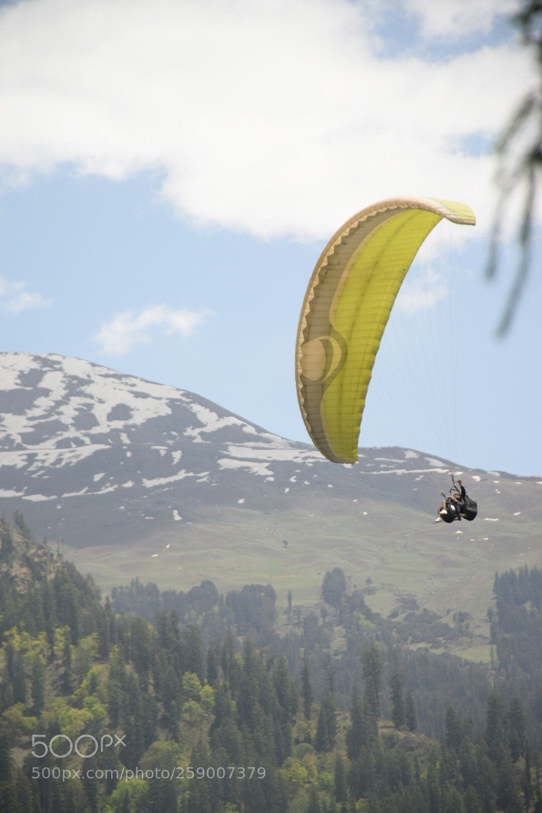 Nikon D5300 sample photo. The wish for wings  photography