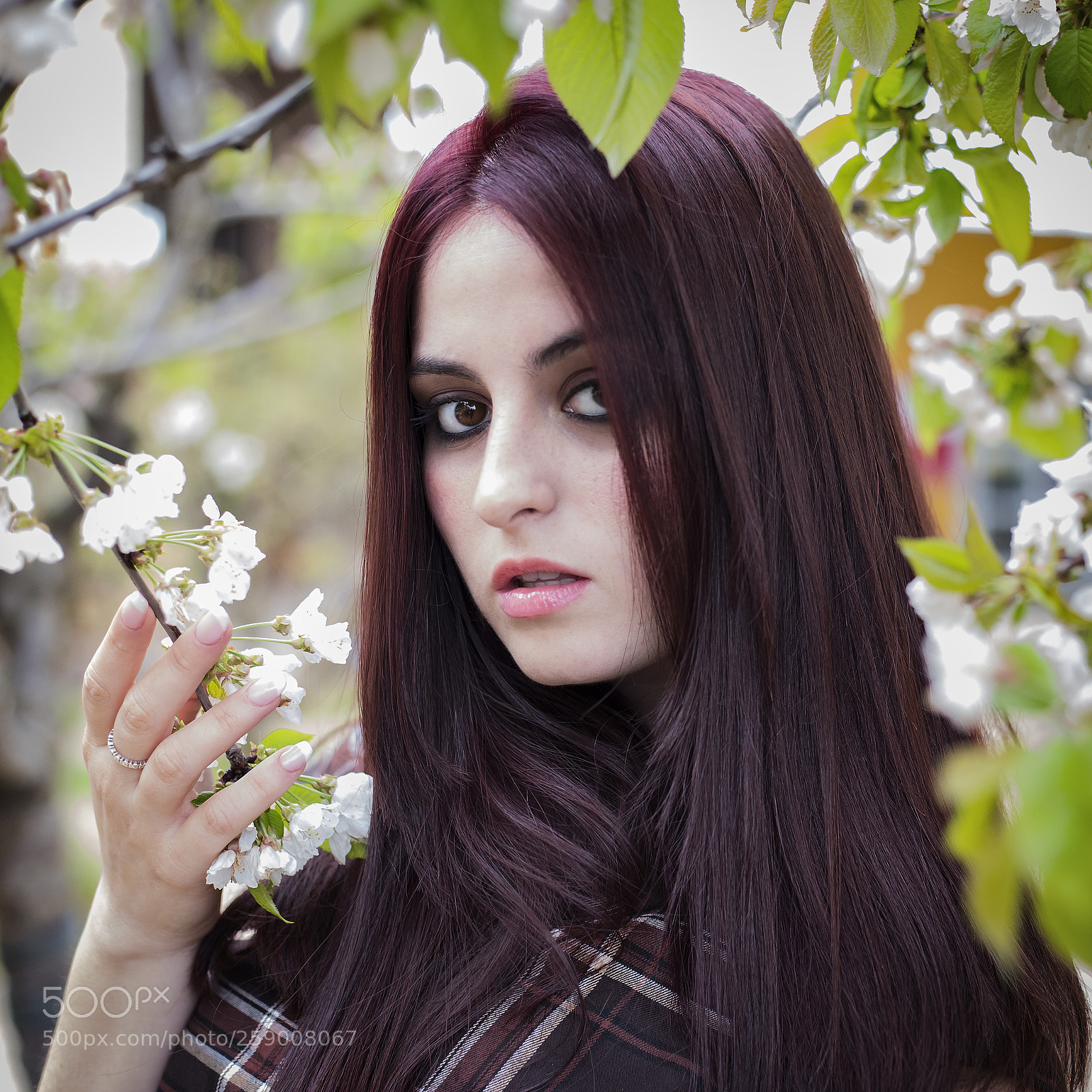 Canon EOS 6D sample photo. Iris photography