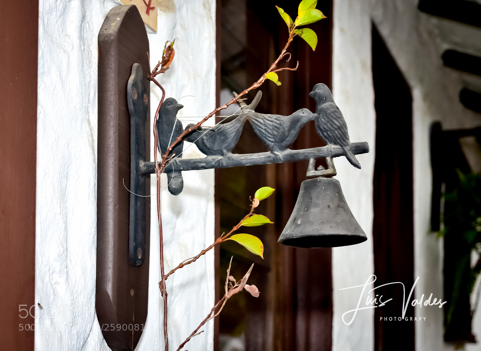 Nikon D7200 sample photo. Art in the wall photography