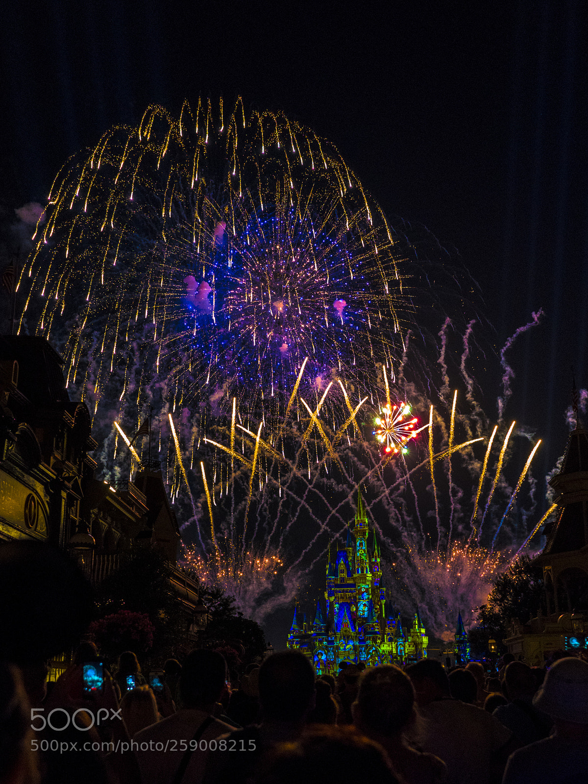 Sony a7R II sample photo. Happily ever after photography