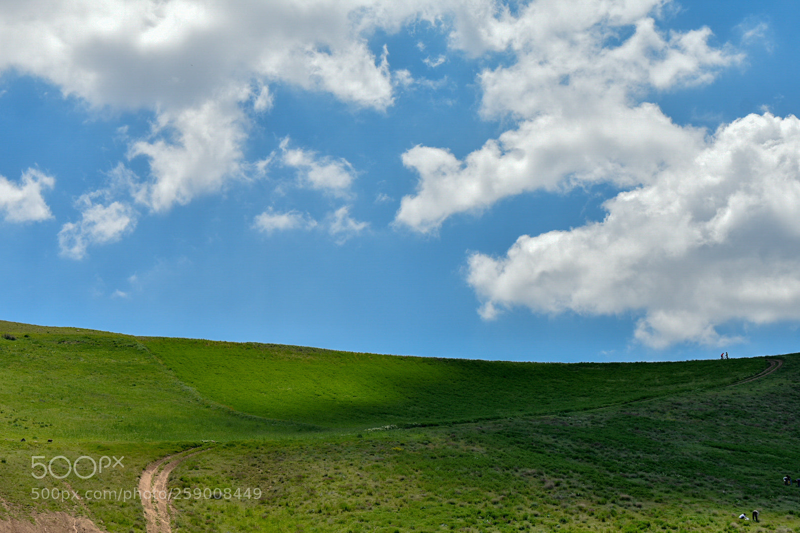 Nikon D3400 sample photo. Windows xp in iran,urmia photography
