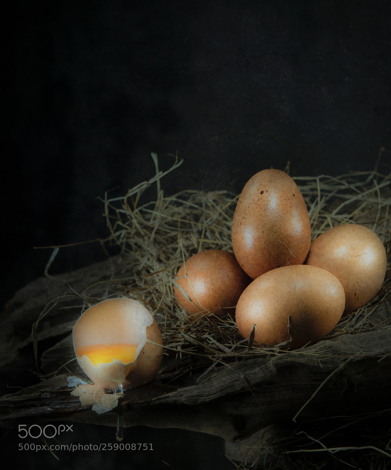 Olympus OM-D E-M5 sample photo. Eggs in the barn photography