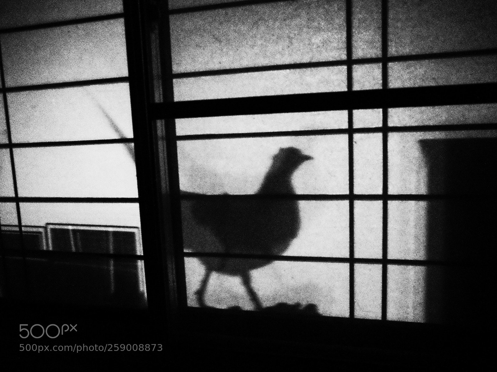 Ricoh GR II sample photo. Untitled photography