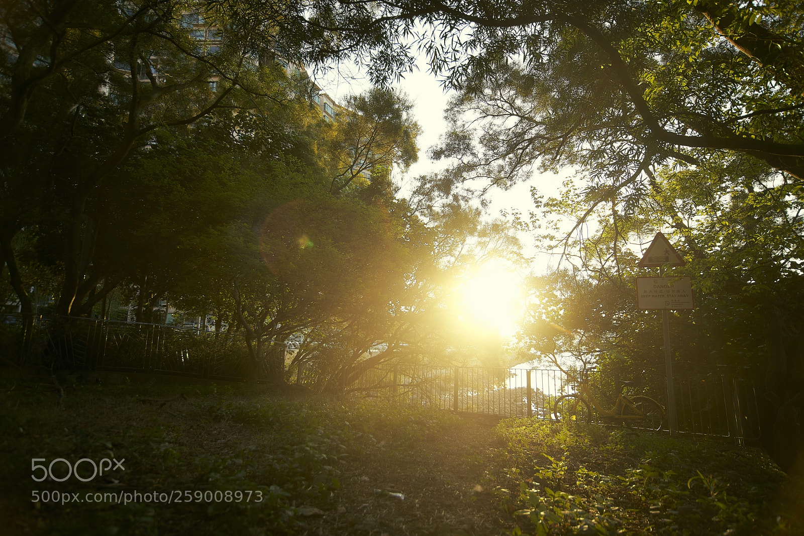Sony a7R III sample photo. Hey who left this photography