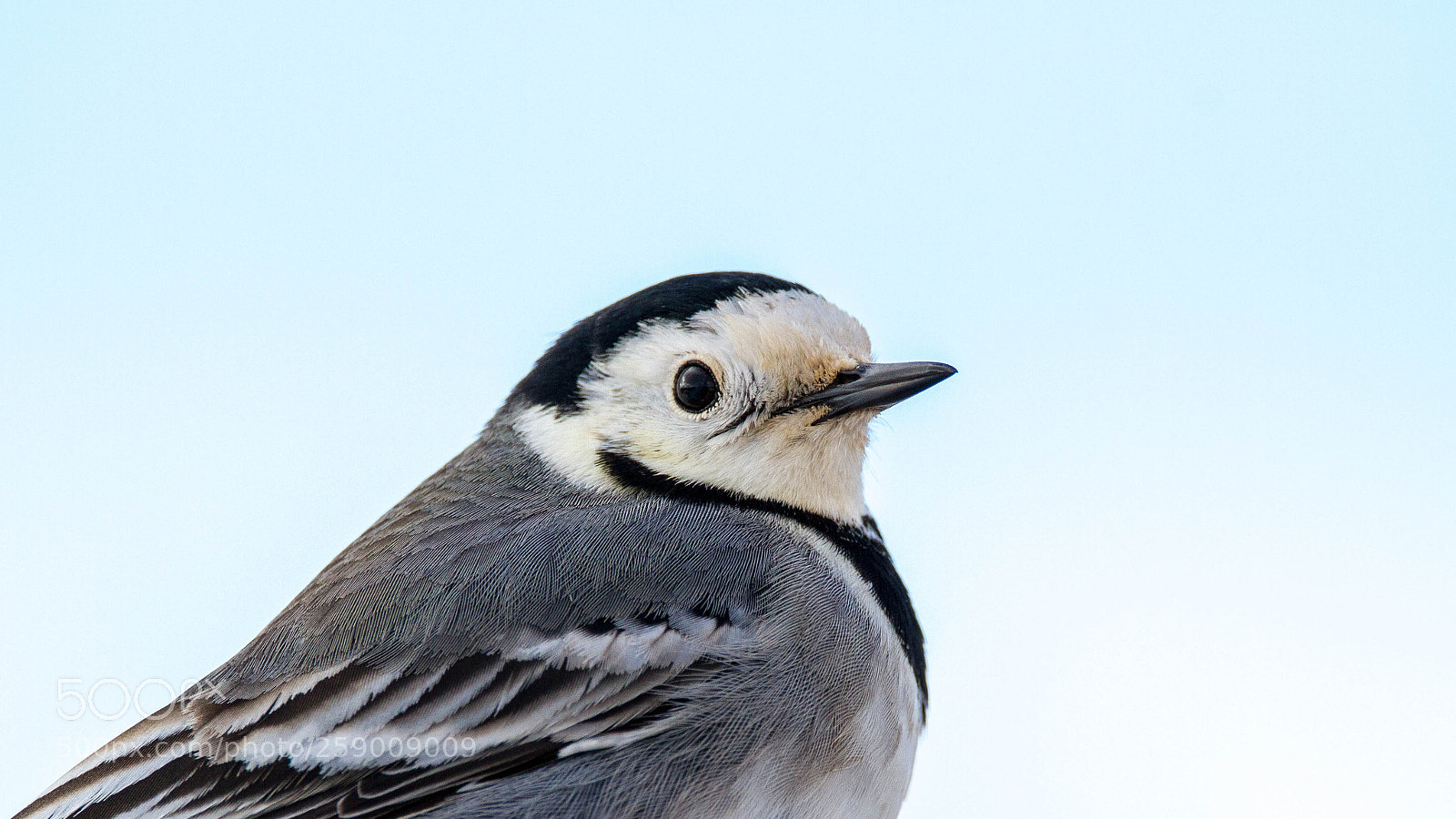 Canon EOS 7D sample photo. () photography