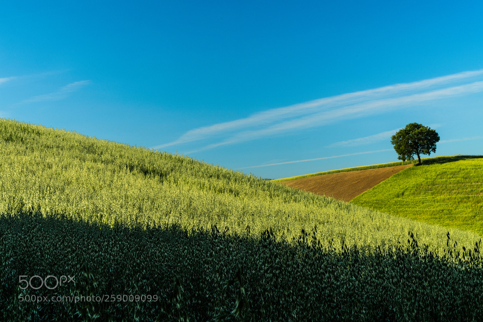 Sony a7R III sample photo. Soft hills photography