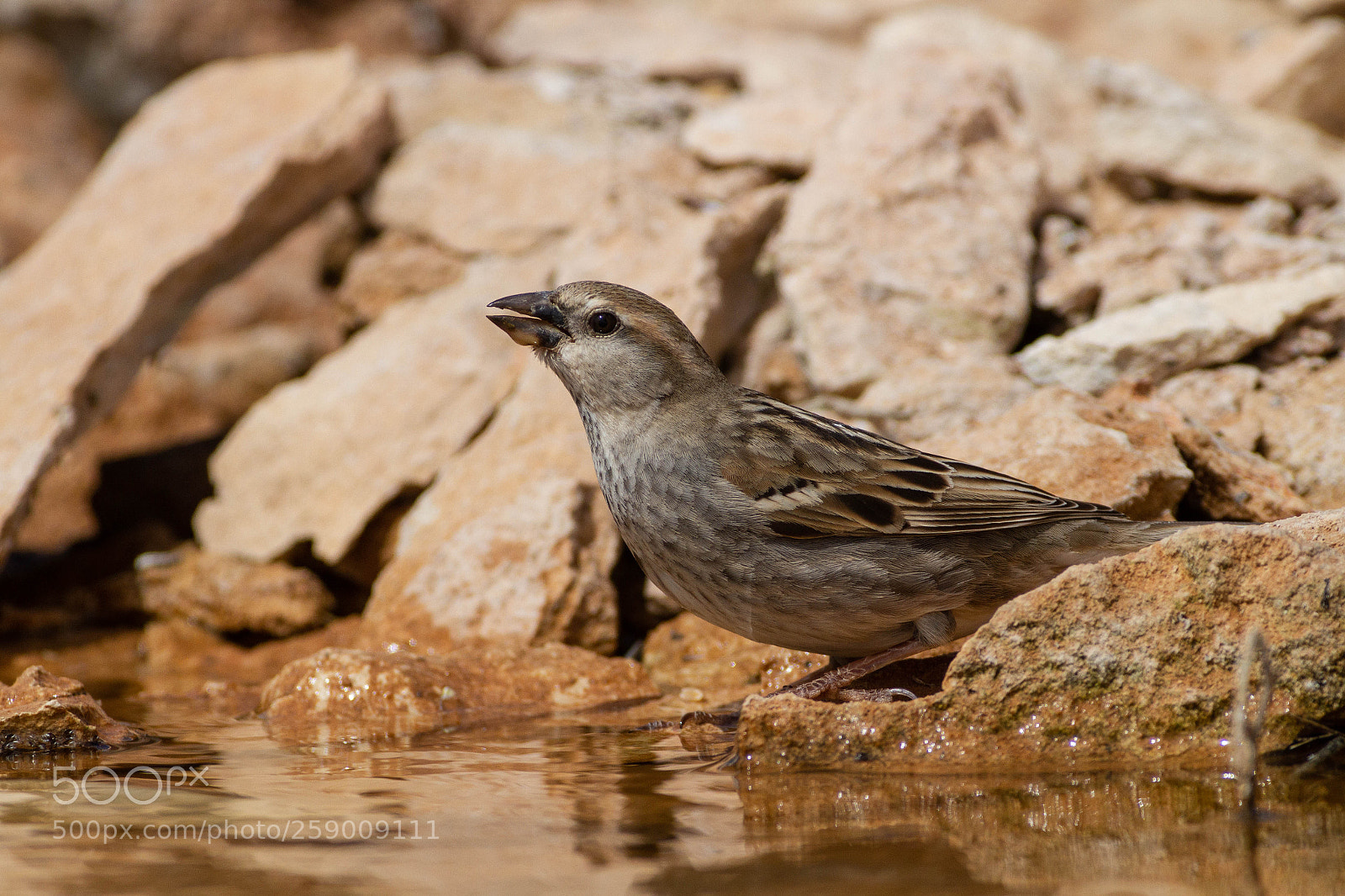 Canon EOS 7D sample photo. Mg photography