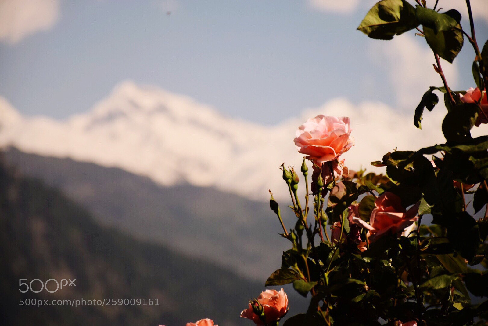 Nikon D5300 sample photo. Rosy mountains  photography