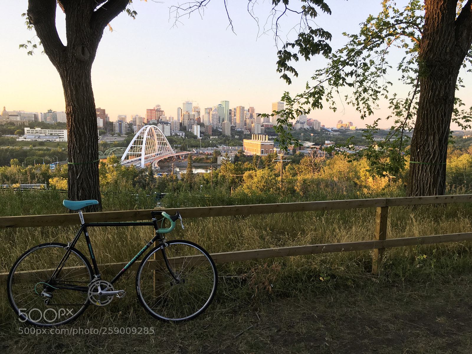 Apple iPhone SE sample photo. Edmonton photography