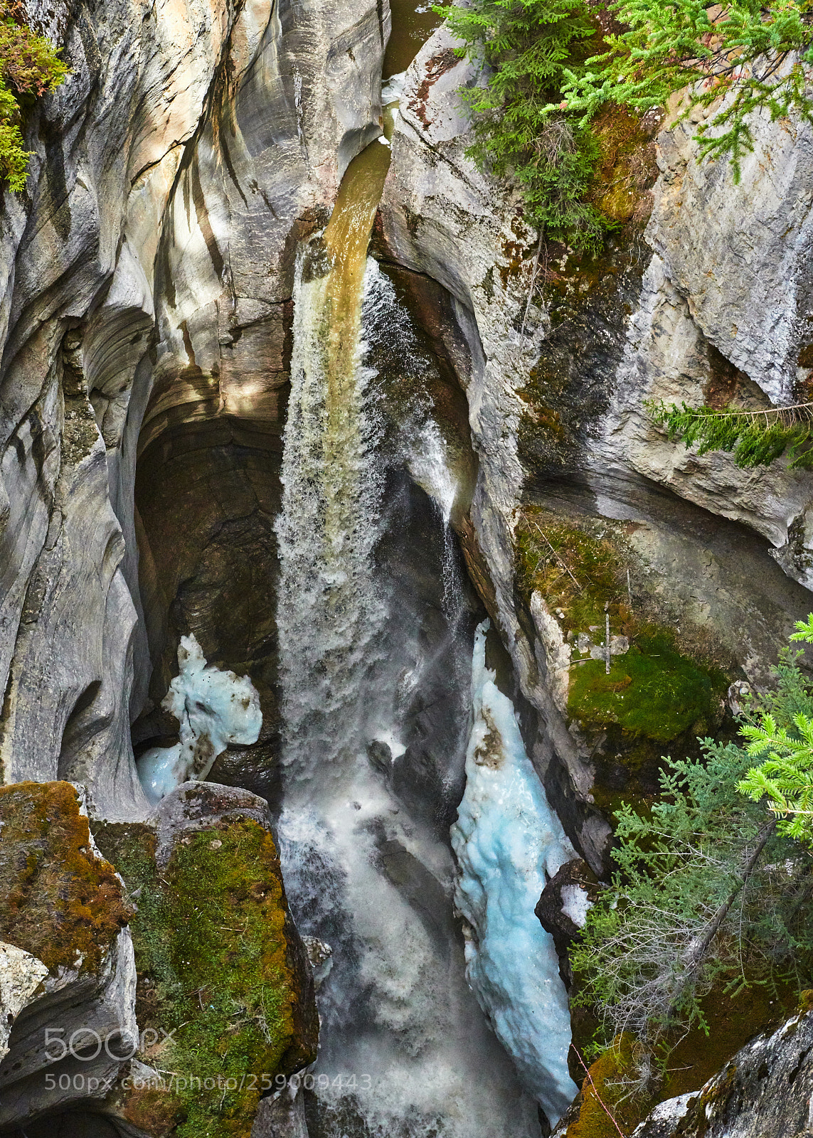 Nikon D850 sample photo. Maligne canyon at first photography