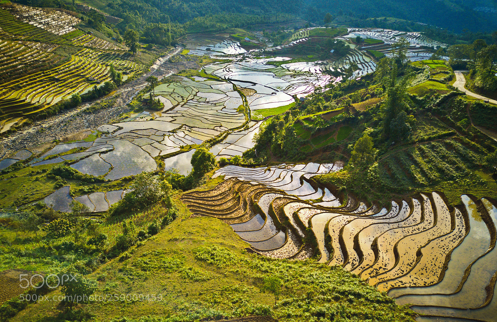 DJI FC220 sample photo. Sunset over rice terraces. photography