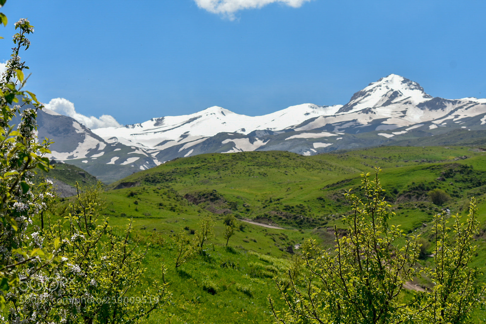 Nikon D3400 sample photo. Iran,urmia,dalamper photography