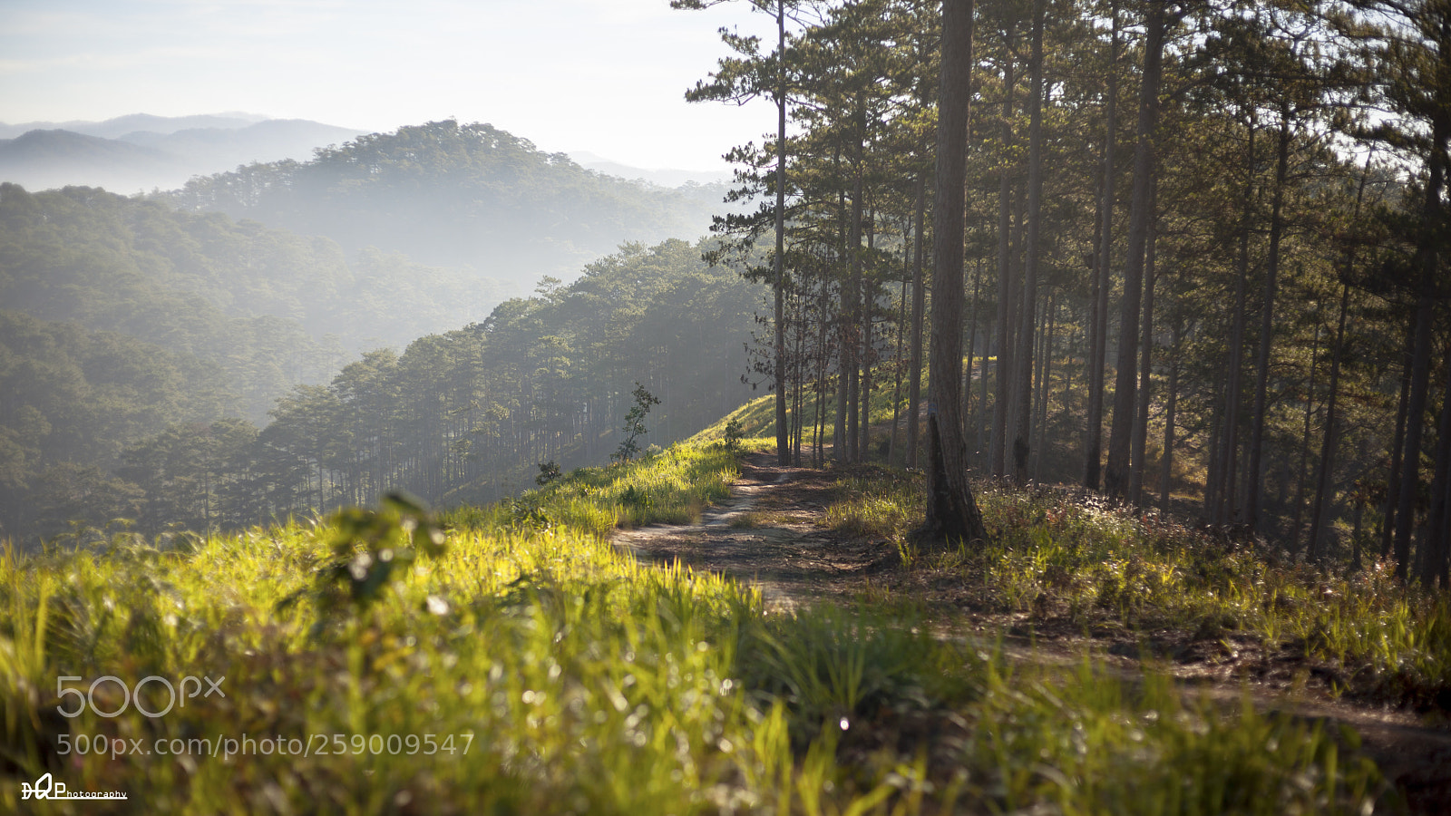 Canon EOS 5D Mark II sample photo. Img photography
