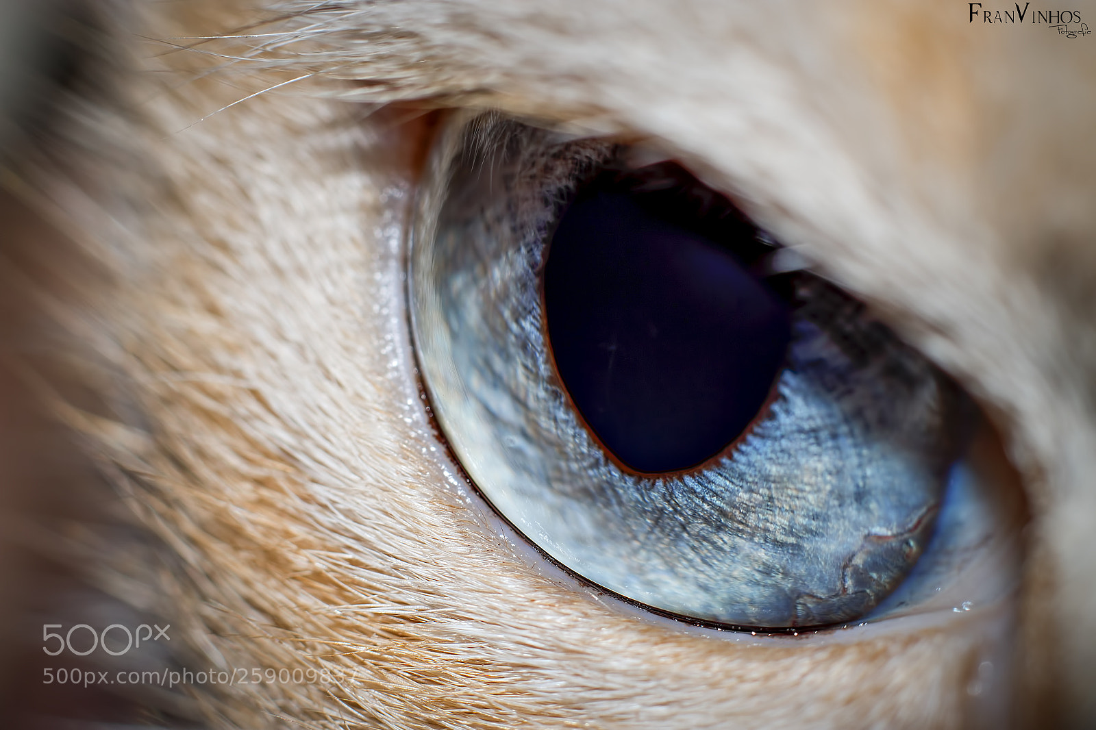 Canon EOS 70D sample photo. Untitled photography