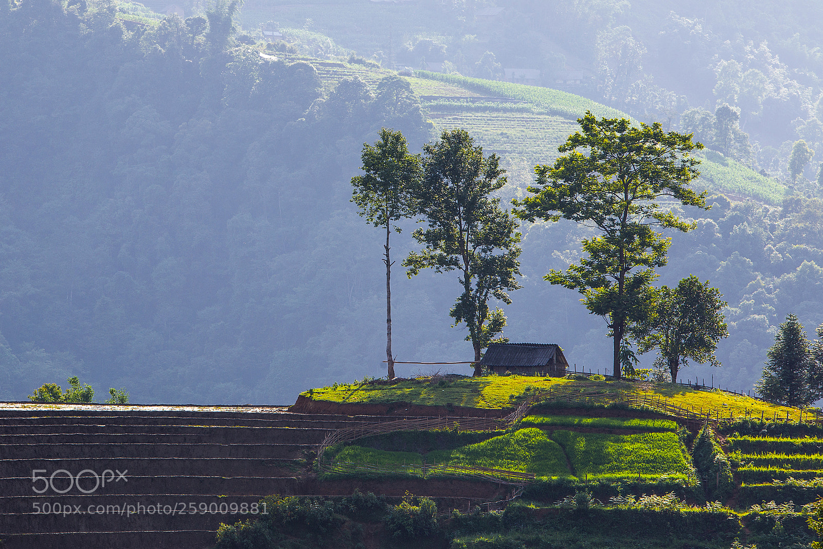 Canon EOS 6D sample photo. Terraced rice field in photography