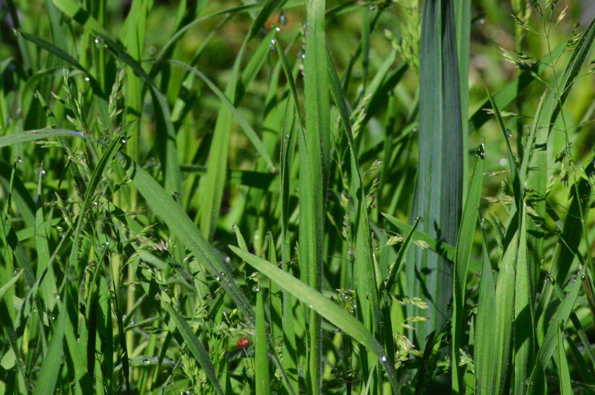 Nikon D3200 sample photo. Dsc photography
