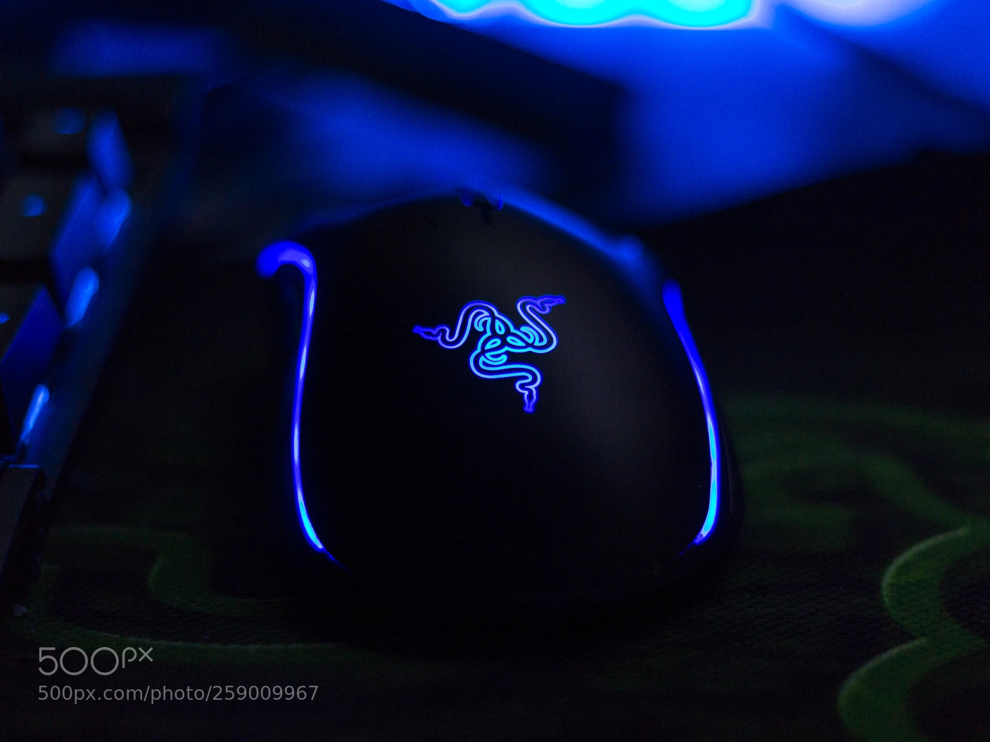 Canon EOS 700D (EOS Rebel T5i / EOS Kiss X7i) sample photo. Razer photography