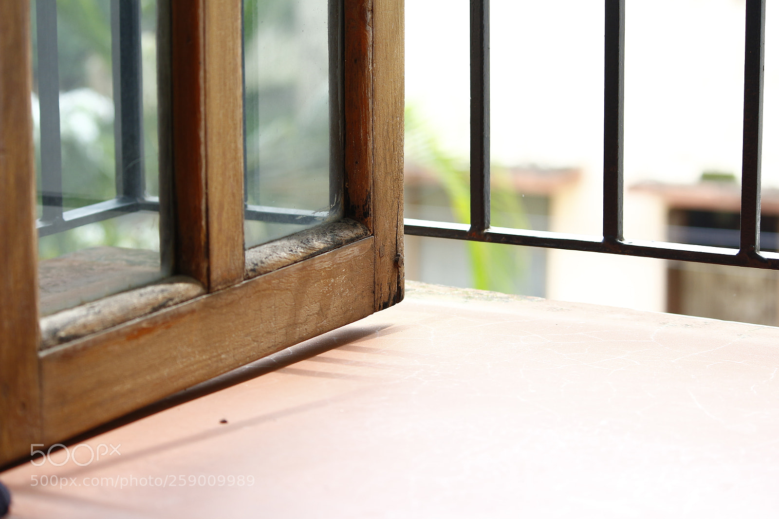 Canon EF-S 55-250mm F4-5.6 IS II sample photo. The open window photography