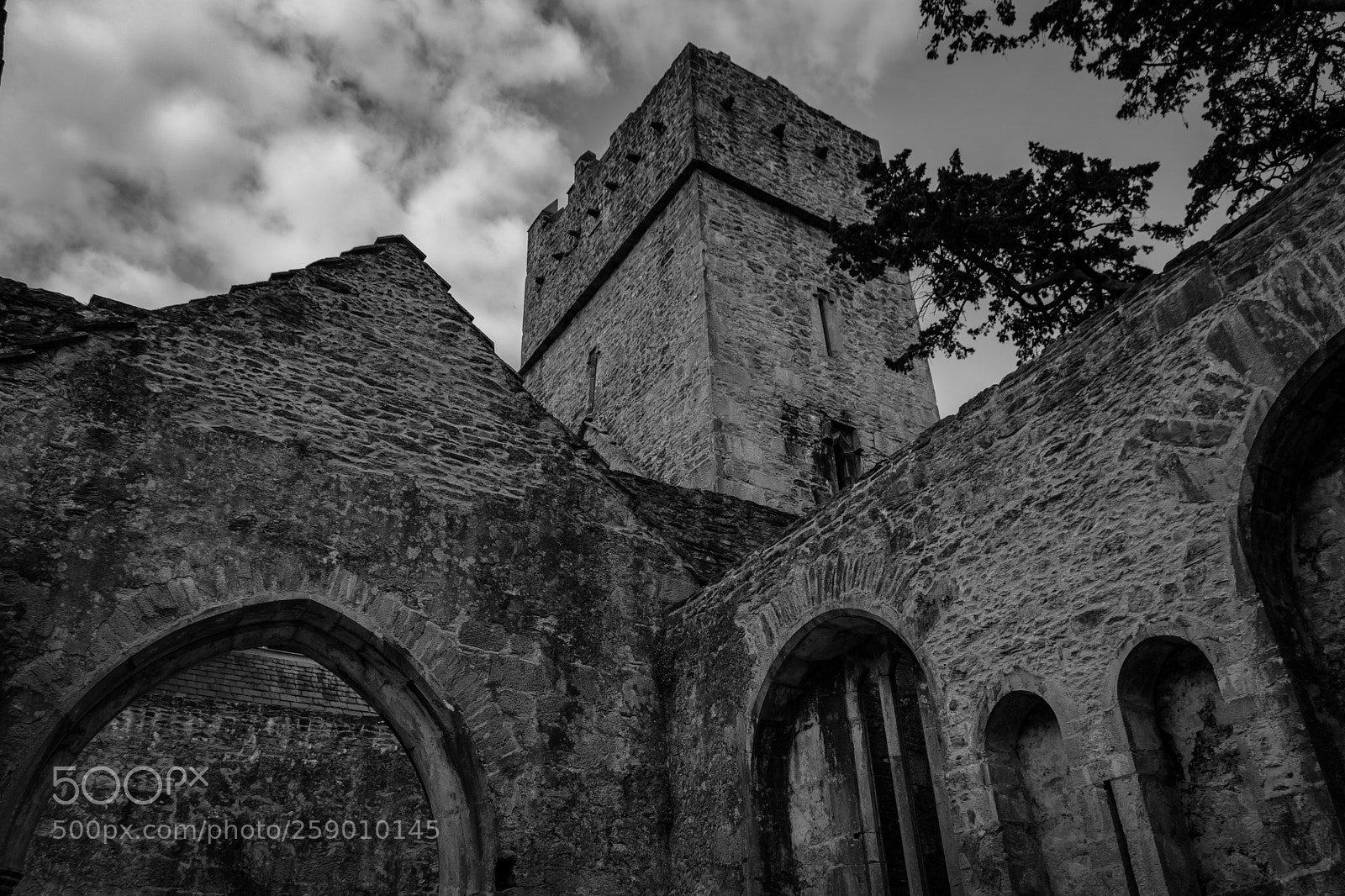 Pentax K-70 sample photo. Muckross abbey photography