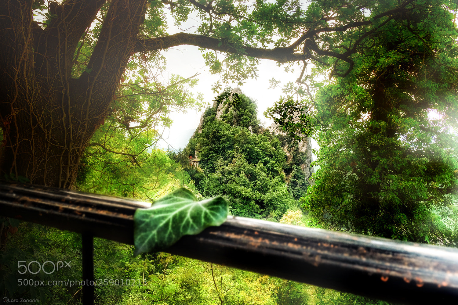Fujifilm X-T2 sample photo. Untitled photography
