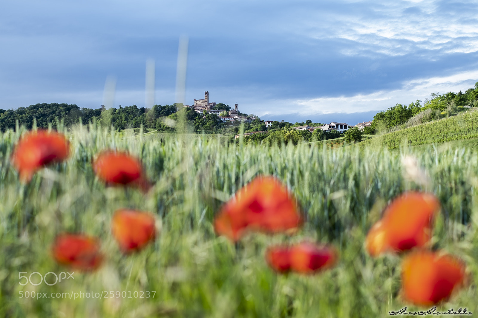 Fujifilm X-T20 sample photo. The castle on the photography