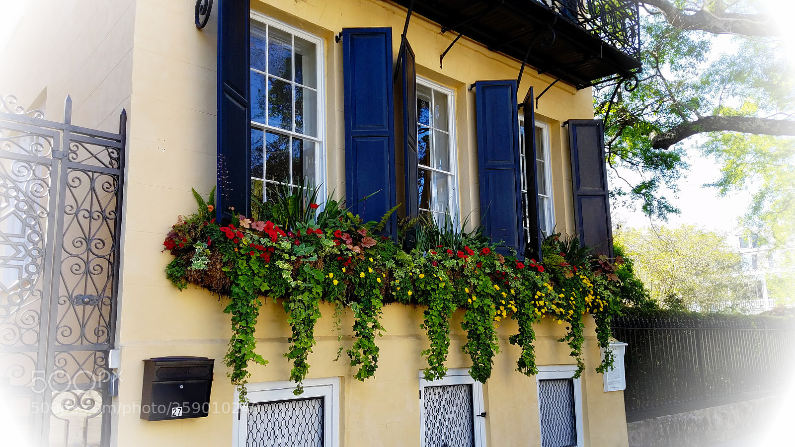 Samsung Galaxy S7 sample photo. Charleston window boxes photography