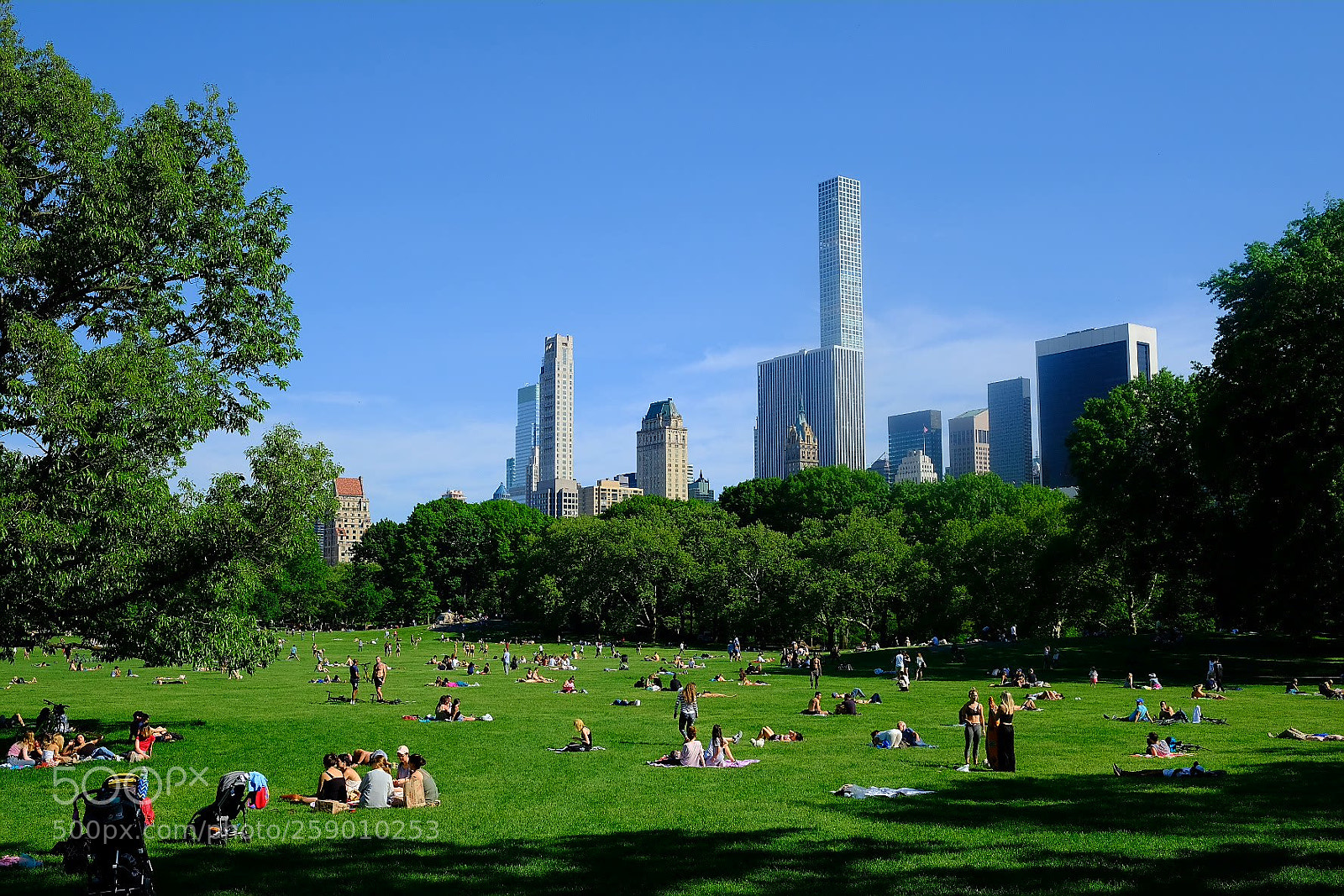 Fujifilm X-T2 sample photo. Sheep meadow photography