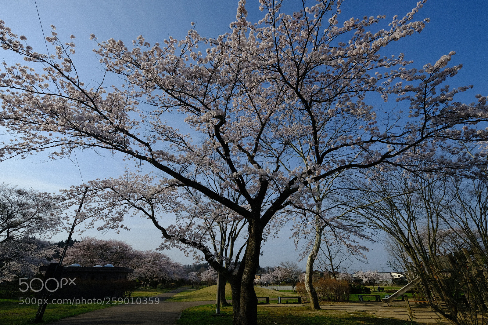 Fujifilm X-T2 sample photo. Dscf photography