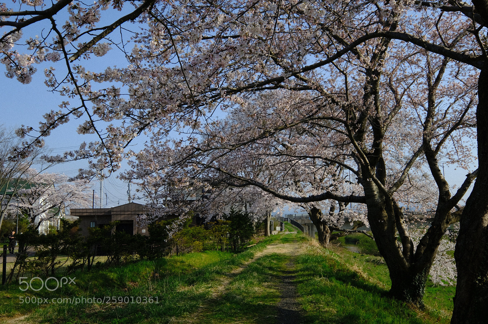 Fujifilm X-T2 sample photo. Dscf photography