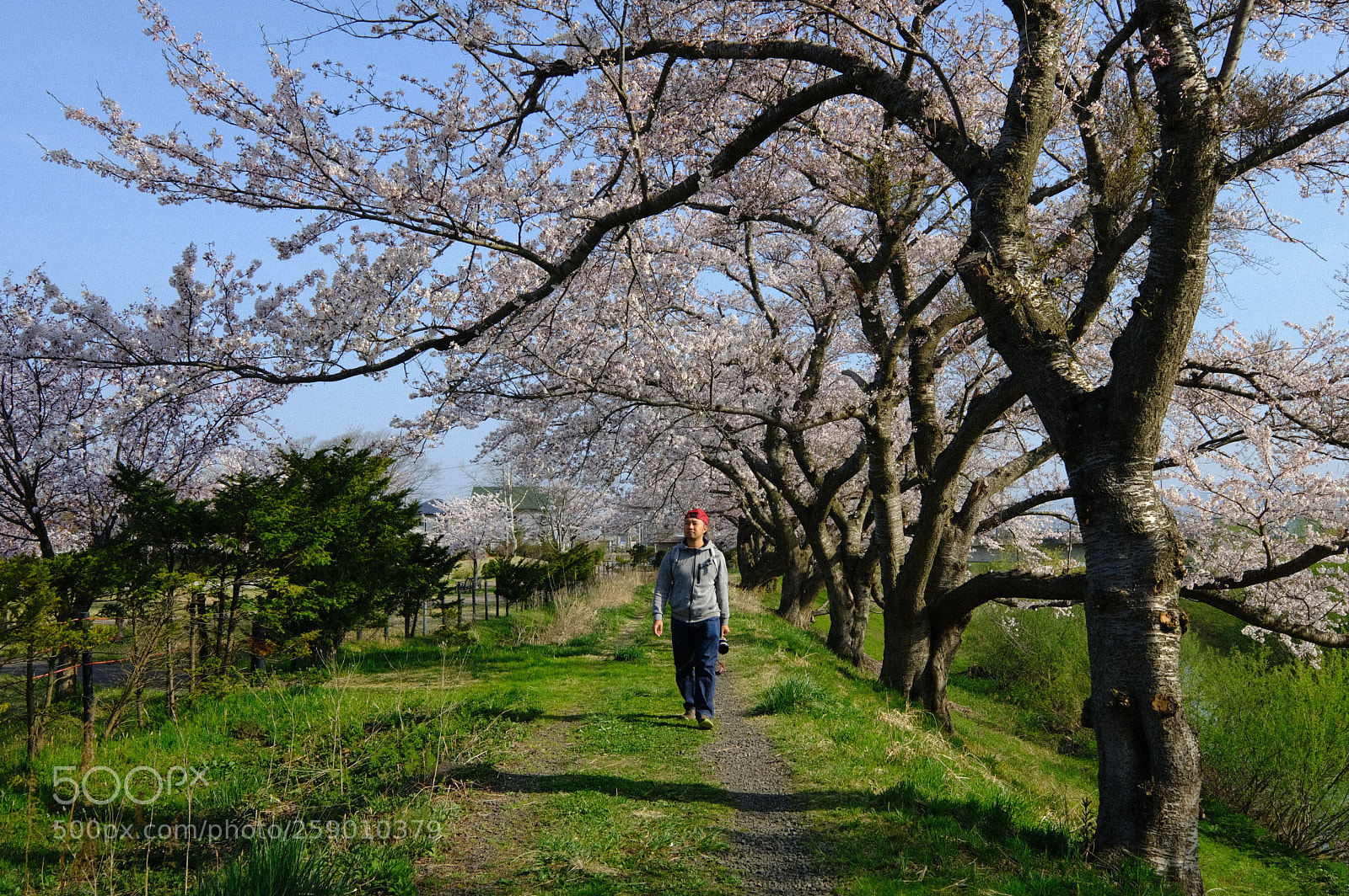Fujifilm X-T2 sample photo. Dscf photography