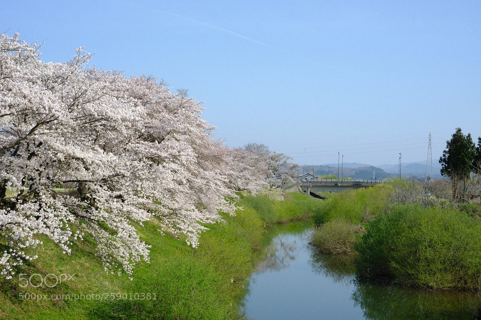 Fujifilm X-T2 sample photo. Dscf photography
