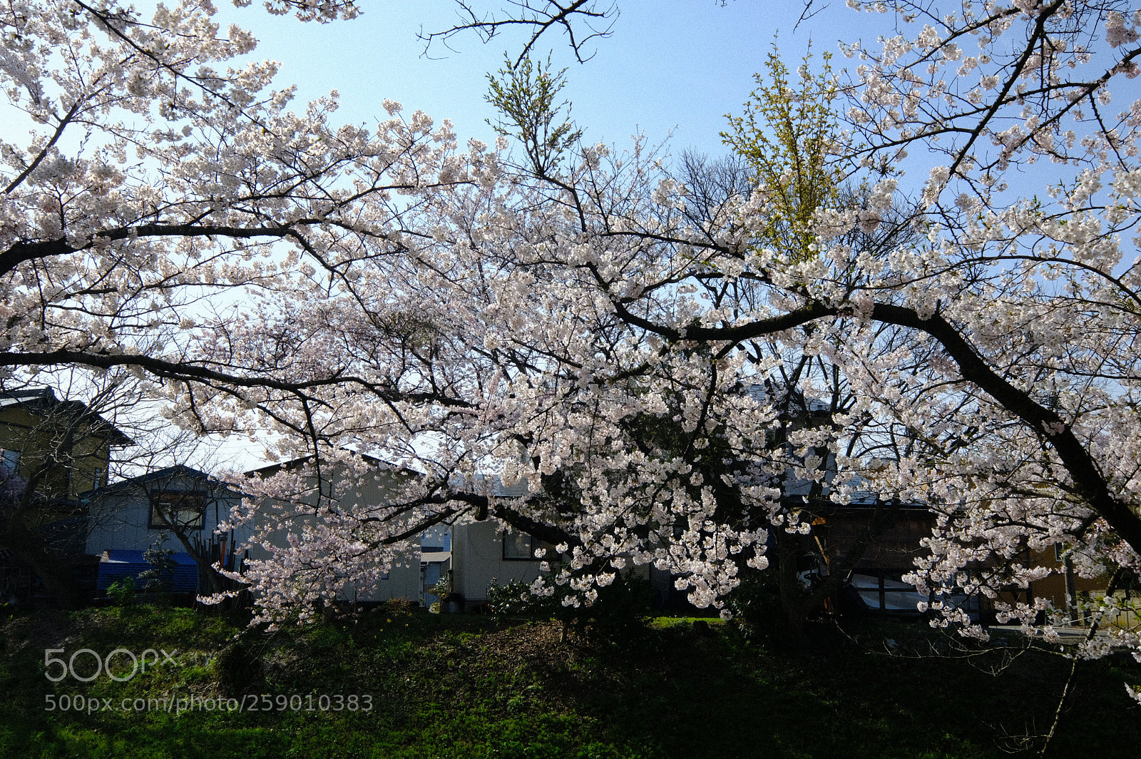 Fujifilm X-T2 sample photo. Dscf photography