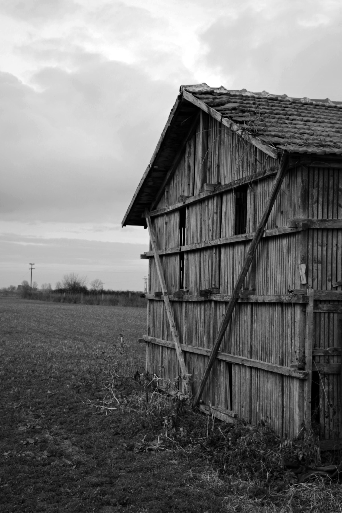 Nikon D7100 sample photo. #167 photography