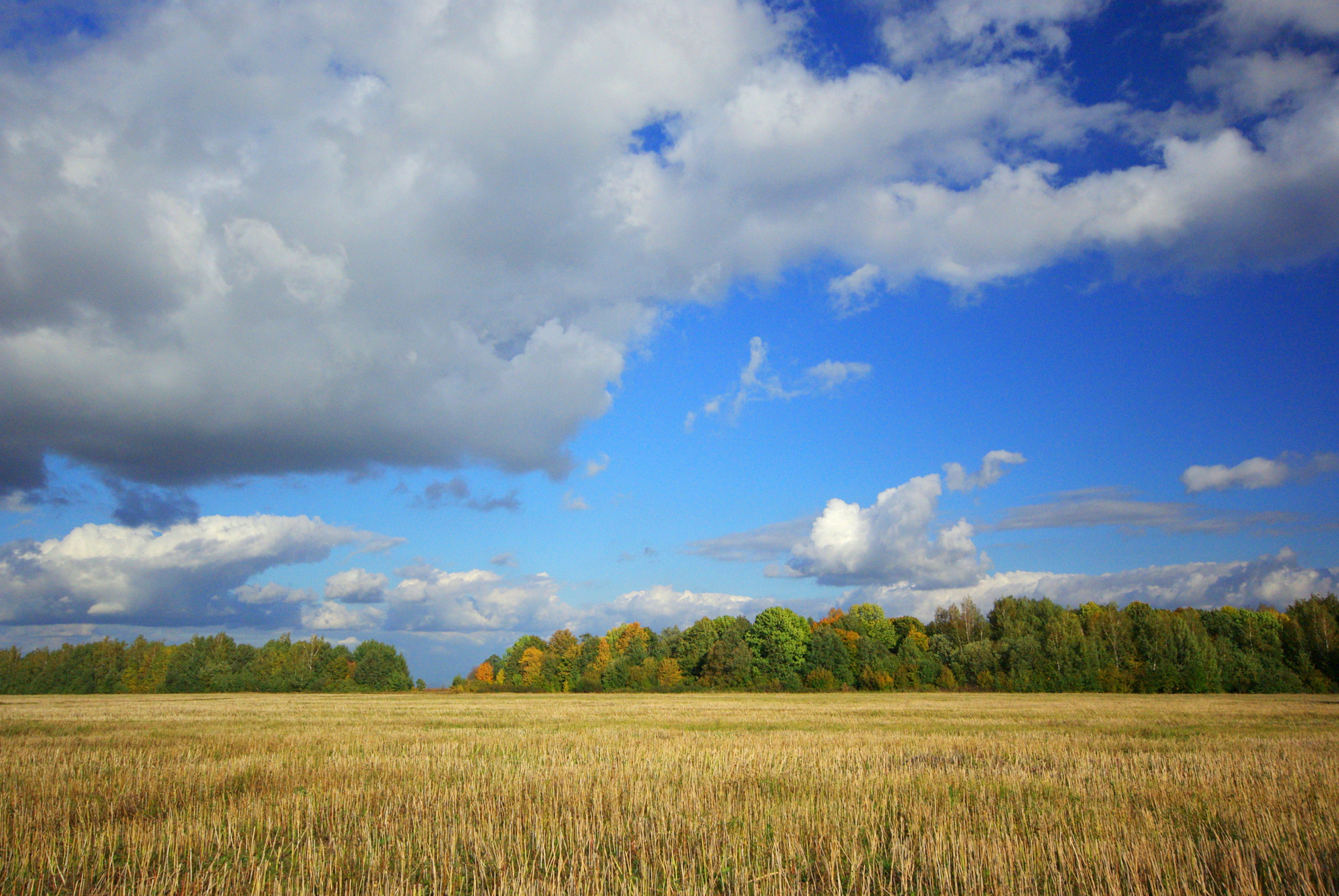 Pentax K200D + Sigma AF 10-20mm F4-5.6 EX DC sample photo. Autumn skyline photography