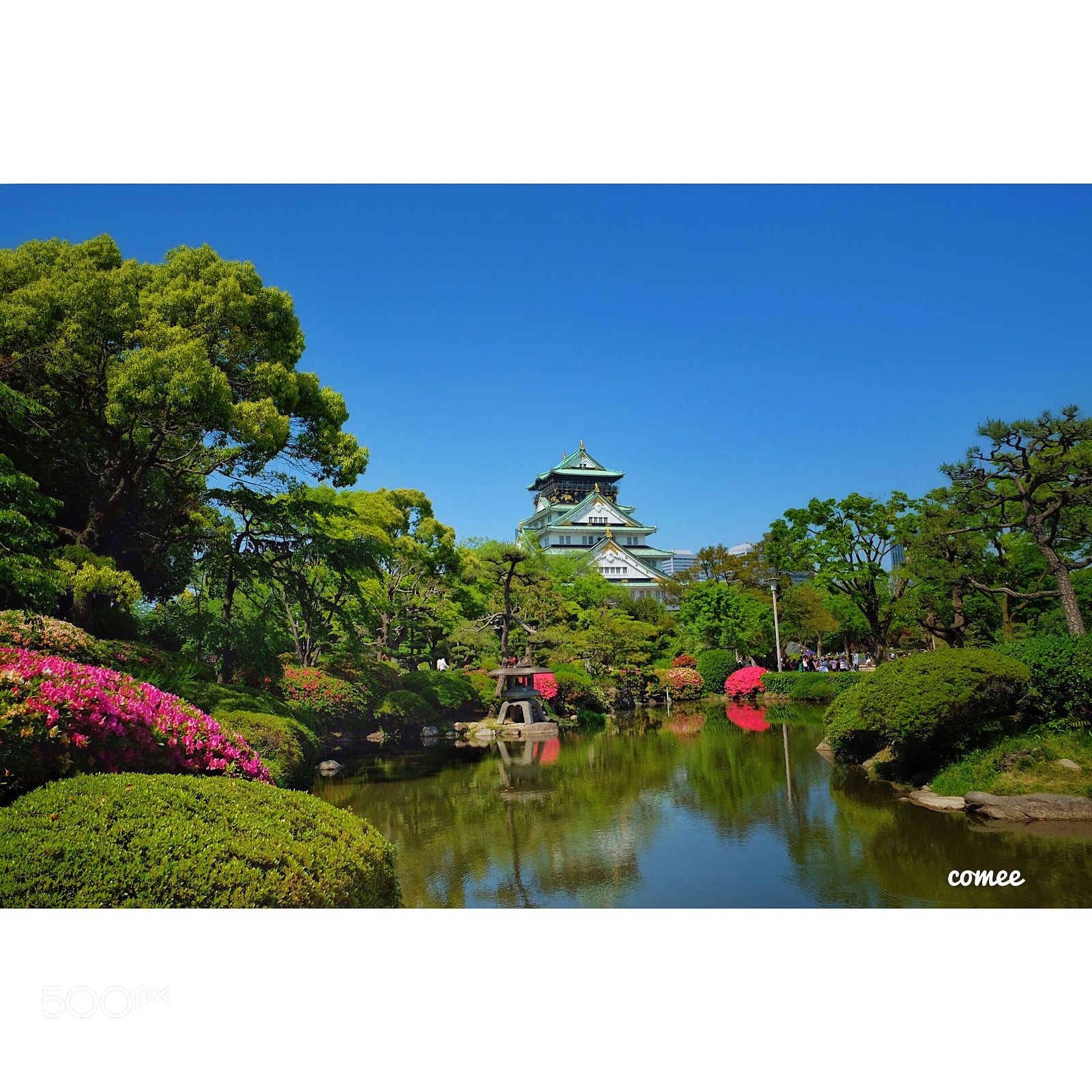 Fujifilm X-T10 sample photo. Untitled photography