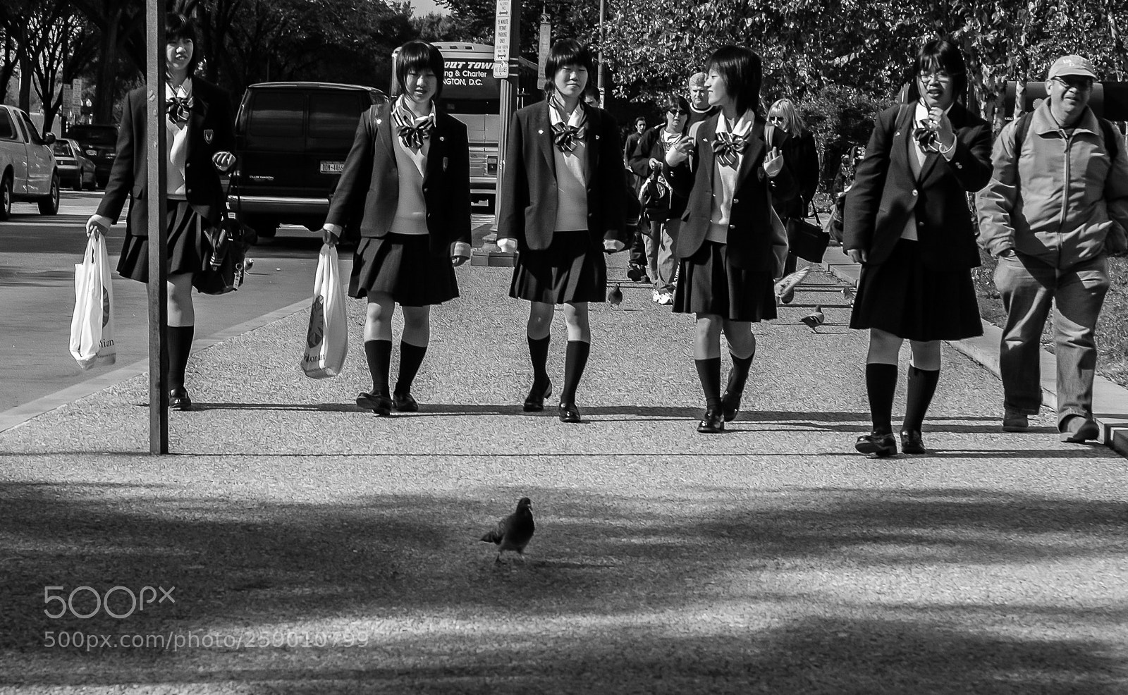 Nikon D70 sample photo. Bird and schoolgirls photography
